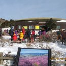 (주)제주백록담 이미지