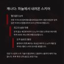 아드레날린 이미지