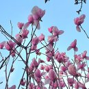 이뿌다 - 완도군 노화로 840-1 | 이뿌다