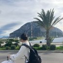 행복나무약국 | 행복착즙기 풀가동(시칠리아 라구사편)