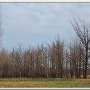 문양역길 이미지