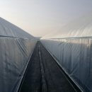 유봉농장 이미지