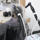전주미용실 전북대 오아세헤어 아키디자이너 단발 히피펌 후기