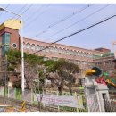 갑오약국 이미지