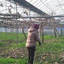 건우 농장 이미지