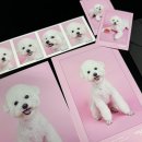 온새미로 아토 이미지