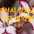 서울애플민트치과의원 이미지