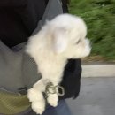 지오한의원 이미지