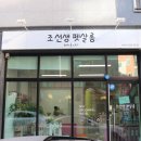 조선생 펫살롱 이미지