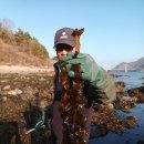 사량인펜션 이미지