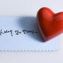 와이번 주짓수 합기도 이미지