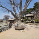 외암민속박물관 | 아산 외암민속마을 방문기: 주차료, 입장료 정보 (무료, 할인) 정리