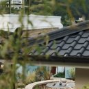 파파어부 이미지