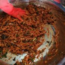 청운농장 이미지