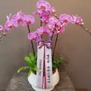 다사랑요양병원 이미지