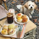 강아지정류장 | 성수대형카페 한입베이글 강아지랑 다녀온 후기 &amp; 주차정보