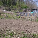 사기소리 이미지