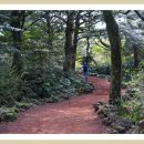 성산교회 앞 버스정류장 이미지