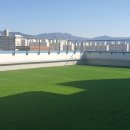 대구외국어고등학교 이미지