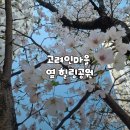 고려인쉼터 | 광주 산정근린공원 산책 후기 (고려인마을 인근 힐링 산책코스)
