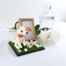 기억할개 이미지