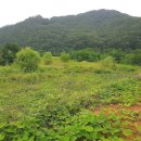 동호유적근린공원 이미지