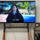 봄내병원 | [임신 일기] 11주-19주차 임신일기, 초기기형아 검사(목투명대), 16주차 성별공개,19주차 배크기...