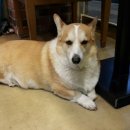 카페153블레스 이미지