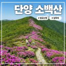 죽령휴게소 | 단양 소백산 2026 철쭉제 정보 및 죽령코스 연화봉 산행 기록
