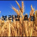 고대1089 이미지