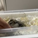 독립문동물병원 이미지