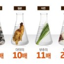 진쿠 이미지