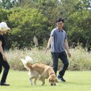 탄도민박 이미지