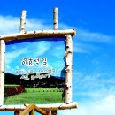 메밀꽃체육관 이미지