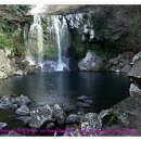 천제연폭포 이미지