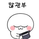 레푸스 이미지