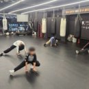 팀 해명 짐 이미지