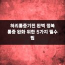 허리통증기전 완벽 정복 통증 완화 위한 5가지 필수 팁