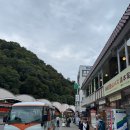 그린프라자 | 도쿄 근교 후지산이 보이는 그린 플라자 하코네 온천 호텔 후기,