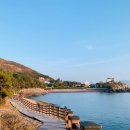 사랑비디오 이미지