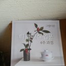 대익보이차 울산장검점 | [울산 대익보이차 장검점/그랩더문] 다정하고 깔끔한 분위기 찻집