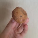 씨유 평내메인점 | 쫀득한 찹쌀도넛에 마음을 담다, 도너츠윤 평내점 후기｜찹쌀도넛 포장·선물용 추천