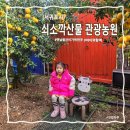풍깡 | 아이와함께 :쇠소깍산물관광농원