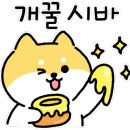명곡유리 이미지