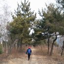 늠내길4코스 바람길 | 2015.2.7.(토) 시흥 늠내길 4코스 바람길