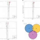Re: 한약재 석곡 고성능 액체크로마토 분석에 의한 항산화 효과 2023 ! 이미지