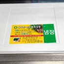 괘방령로 | 새싹삼 효능 먹는방법까지 새싹삼농장 직접 가보니