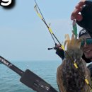 nh코리아 이미지