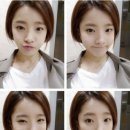 베베미뇽 이미지