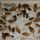 도봉-도봉-서울도봉-2138 이미지